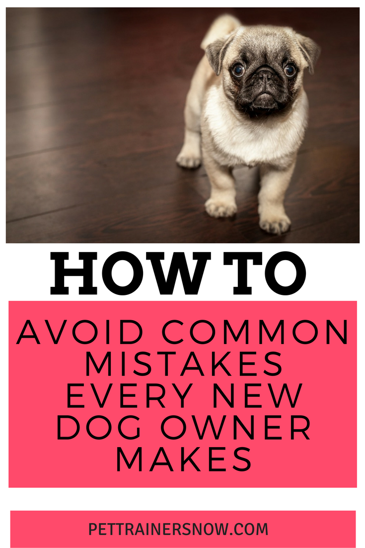 Avoid-common-mistakes-every-new-dog-owner