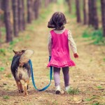 Daily-walks-with-your-pet-to-keep-him-from-running-away