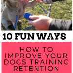 fun-ways-to-improve-your-dogs-training-retention